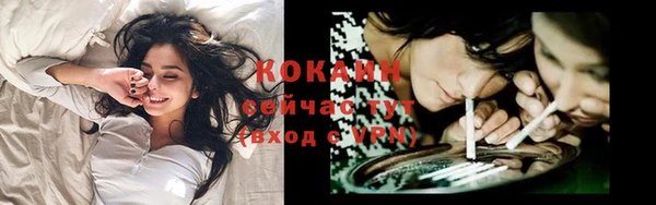 сатива Лагань