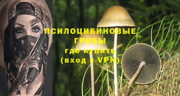 не бодяженный Лабытнанги