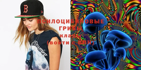 меф Ладушкин