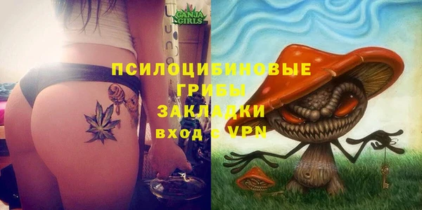 не бодяженный Лабытнанги