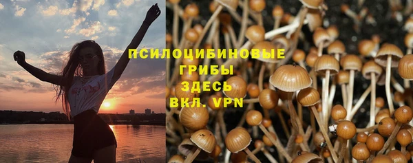меф Ладушкин