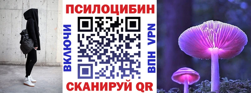 Псилоцибиновые грибы мицелий  Фрязино 